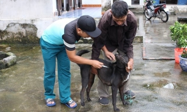 Hanoi to gradually eradicate rabies